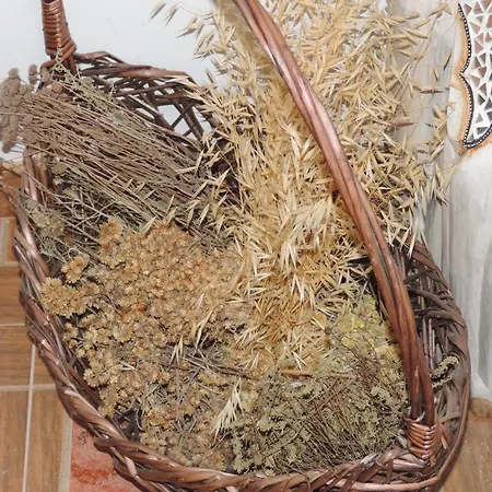 Сasa de vacaciones Aladros