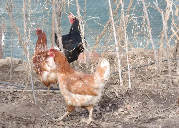 Vakantiehuis Aladros